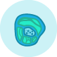 Lower Leg Compartments Icon
